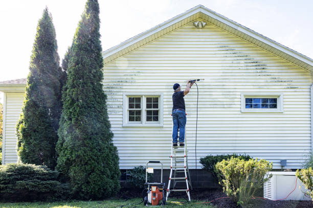 Why Choose Our Certified Pressure Washing Experts for Your Project Needs in Ballplay, AL?